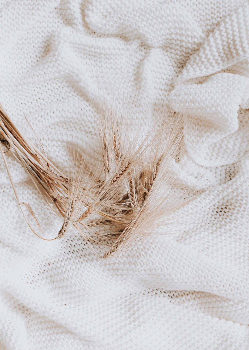Wheat Ears on White Blanket 